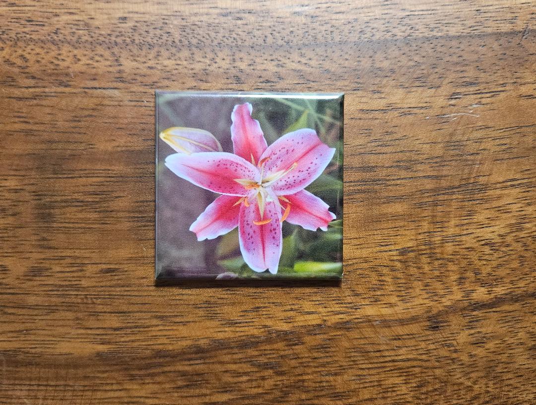 1 Square 2 X 2 Personalized Photo Magnet